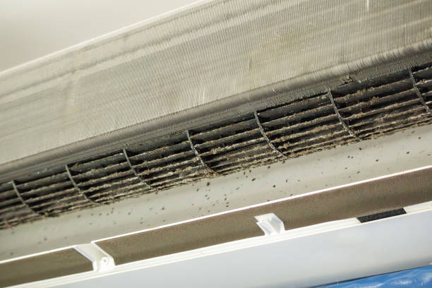 Best Commercial Air Duct Cleaning  in Indian Head, MD